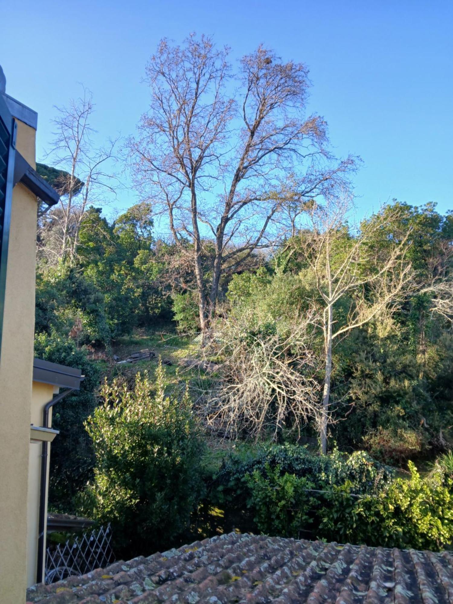 Casa Misha Tra 5 Terre E Versilia Bocca di Magra Bagian luar foto