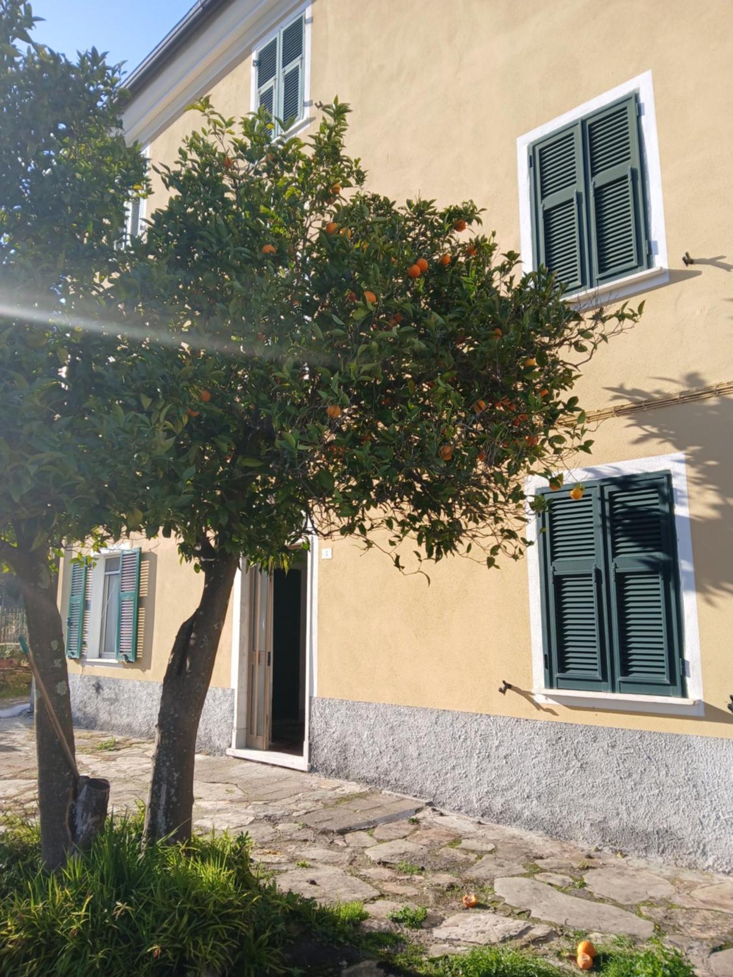 Casa Misha Tra 5 Terre E Versilia Bocca di Magra Bagian luar foto